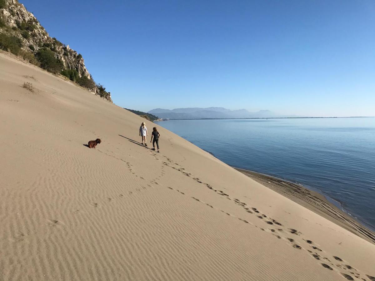 Beachfront, Tirana Willa *